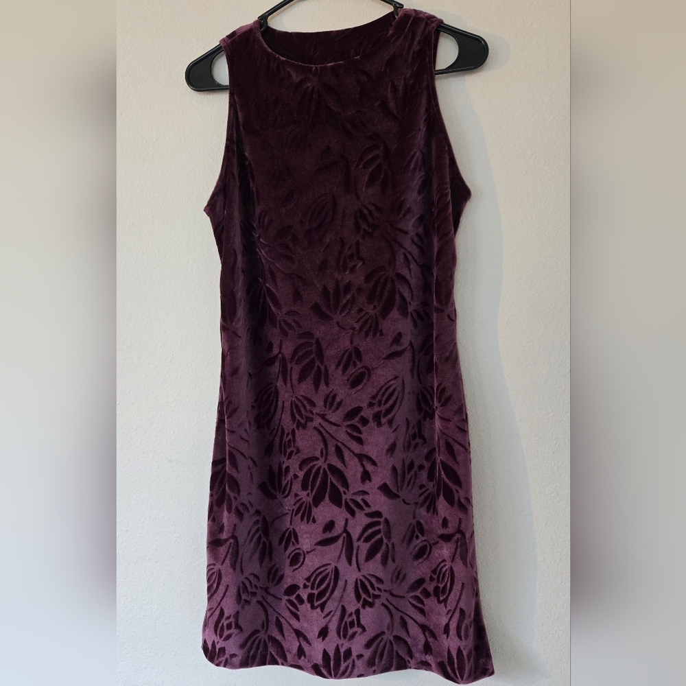 Sense  Velvet Floral Burnout Dress in Plum